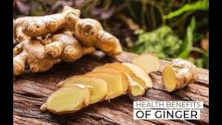 Benefits of Ginger in Hindi especially in cold and cough अदरक के फायदे सर्दी में