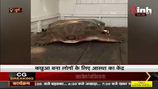 Chhattisgarh News || Durg में मिला 120 किलो का कछुआ, लोगों के लिए बना आस्था का केंद्र