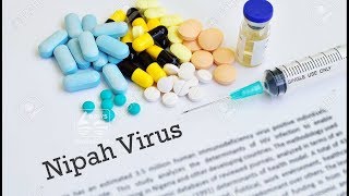 Nippah virus: short description