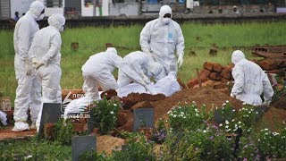 Nipah virus: WHO on alert, discusses with CEPI