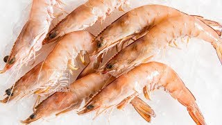 Chronic soft-shell syndrome in prawn