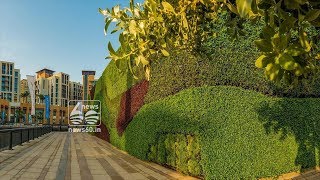 Green wall of dubai