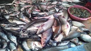 formalin usage in fishes