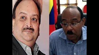Mehul Choksi may have taken his girlfriend to Dominica for dinner, says Antigua and Barbuda PM