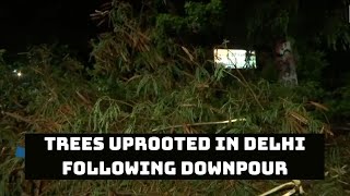 Trees Uprooted In Delhi Following Downpour | Catch News