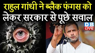 Rahul Gandhi ने Black Fungus  को लेकर सरकार से पूछे सवाल | rahul gandhi news video | congress news