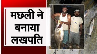 पाकिस्तानी मछुआरे की लग गई लॉटरी, दुर्लभ मछली ने बना डाला लखपति