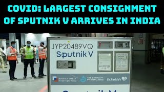 COVID: Largest Consignment Of Sputnik V Arrives In India | Catch News