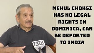 Mehul Choksi Has No Legal Rights In Dominica, Can Be Deported To India: Ex-CBI Director | Catch News