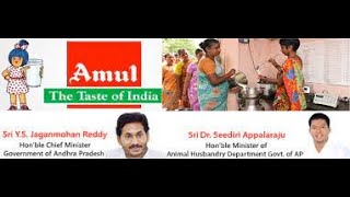 CM of AP will be Launching Amul will begin milk procurement in Andhra Pradesh || social media live