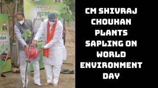 CM Shivraj Chouhan Plants Sapling On World Environment Day | Catch News