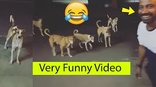 Raghav Juyal & Dharmesh Very Funny Moment With Dogs ???????? Bigg Boss Ka Naya Show ????