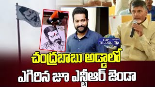 చంద్రబాబు అడ్డాలో ఎగిరిన జూ ఎన్టీఆర్ జెండా | Jr NTR Flag In Kuppam | Chandrababu | Top Telugu TV