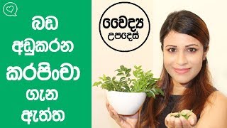 Amazing Benefits Of Curry Leaves