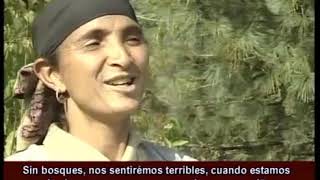 Integral India Healing Touch (Spanish)