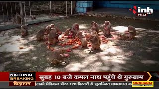 आरक्षक राजेश पटेल की पहल, बंदरों के लिए की भोजन की व्यवस्था