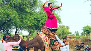 New Dj Rasiya || मेरी एड़ी की धमक - Meri Adi Ki dhamak || Rajasthani Sekhawati