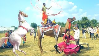 Rajasthani Gurjar Rasiya 2020 | मैं छोरी जगरौटी की | Latest Video Song 2020 || Rajasthani Sekkawati