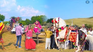 New Dj Rasiya Video Song 2020 || अगर मगर मत बोल - Agar Magar Mat Bol || Rajasthani sekhawati