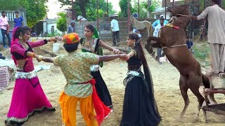ये राजस्थानी वीडियो देखकर झूम उठेंगे | New Gurjar Rasiya Video Song (2020) HD | Rajasthani Sekhawati
