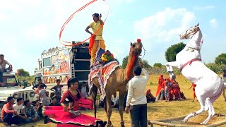 Dj Wala Gano Laga Re Shaadi Ko || डी जे वाला गानो लगा शादी को || Rajasthani Sekhawati
