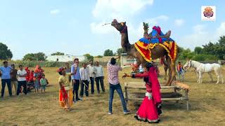 New Dj Rasiya | Main Titli Bagon Ki - मैं तितली बागों की | Latest Rajasthani Dj Song 2020