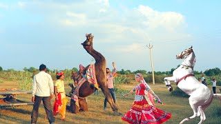 New Dj Rasiya 2020 | तुम तो राजा फूल गुलाबी | Gurjar Rasiya | Latest Rajasthani Dance Video 2020