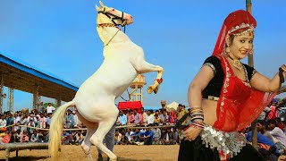 भँवर खटाना का सबसे धमाकेदार राजस्थानी Dj रसिया | Rajasthani Desi Dance | Latest Rajasthani Song 2020