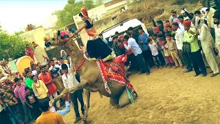 New Marwadi Song 2021 || शादी में दज बाजे रे || Latest Rajasthani Song 2021 || Rajasthani Sekhawati