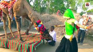 Latest Rajasthani Video Song || बोलो बोलो बोलो - Bolo Bolo Bolo || Rajasthani Sekhawati