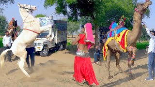 New Rajasthani Dj Song 2021| ओ छोरी तेरो मेरो प्यार - O Chori Tero Mero Pyar | Rajasthani Sekhawati