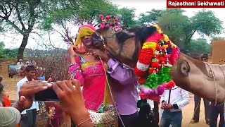 I Love You माने बोल ओ मारी जानू  | Superhit Marwadi Video Song 2021 | Rajasthani Sekhawati
