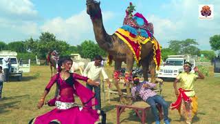 Rajasthani Gurjar Rasiya 2021 | मैं तितली बागों की | Latest Video Song 2021 || Rajasthani Sekkawati