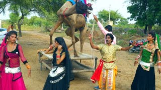 Dhamakedaar Dj Rasiya | तुम तो राजा फूल गुलाबी | Latest Rajasthani Song 2021 Full Rasiya Video