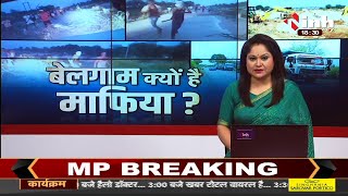 Madhya Pradesh News || Shivraj Singh Government बेलगाम क्यों है माफिया ?