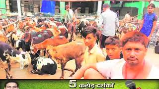 बकरीद को लेकर योगी सरकार की गाइडलाइन, भीड़ इकट्ठा होने पर रोक