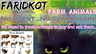 Faridkot :- Buy & Sale Farm Animals ♧ Cow, Buffalo, Sheeps - घर बैठें गाय भैंस खरीदें बेचें..