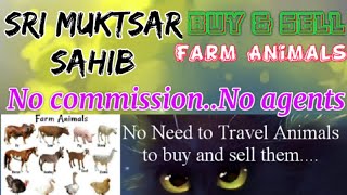 Sri Muktsar Sahib :- Buy & Sale Farm Animals ♧ Cow -घर बैठें गाय भैंस खरीदें बेचें..