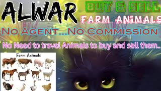 Alwar :- Buy & Sale Farm Animals ♧ Cow, Buffalo, Sheeps - घर बैठें गाय भैंस खरीदें बेचें..
