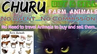 Churu :- Buy & Sale Farm Animals ♧ Cow, Buffalo, Sheeps - घर बैठें गाय भैंस खरीदें बेचें..