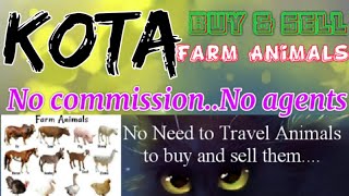 Kota :- Buy & Sale Farm Animals ♧ Cow, Buffalo, Sheeps - घर बैठें गाय भैंस खरीदें बेचें..