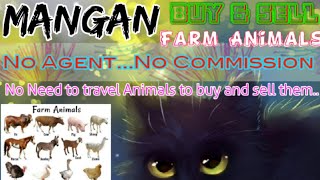 Mangan :- Buy & Sale Farm Animals ♧ Cow, Buffalo, Sheeps - घर बैठें गाय भैंस खरीदें बेचें..