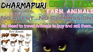 Dharmapuri :- Buy & Sale Farm Animals ♧ Cow, Buffalo, Sheeps - घर बैठें गाय भैंस खरीदें बेचें..