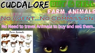 Cuddalore :- Buy & Sale Farm Animals ♧ Cow, Buffalo, Sheeps - घर बैठें गाय भैंस खरीदें बेचें..