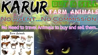 Karur :- Buy & Sale Farm Animals ♧ Cow, Buffalo, Sheeps - घर बैठें गाय भैंस खरीदें बेचें..