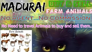Madurai :- Buy & Sale Farm Animals ♧ Cow, Buffalo, Sheeps - घर बैठें गाय भैंस खरीदें बेचें..