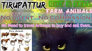 Tirupattur :- Buy & Sale Farm Animals ♧ Cow, Buffalo, Sheeps - घर बैठें गाय भैंस खरीदें बेचें..