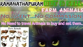 Ramanathpuram :- Buy & Sale Farm Animals ♧ Cow, Buffalo, Sheeps - घर बैठें गाय भैंस खरीदें बेचें..