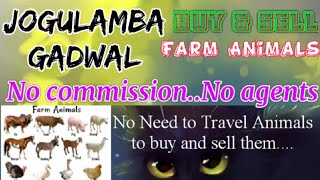 Jogulamba Gadwal :- Buy & Sale Farm Animals ♧ Cow - घर बैठें गाय भैंस खरीदें बेचें..