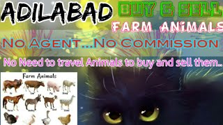 Adilabad :- Buy & Sale Farm Animals ♧ Cow, Buffalo, Sheeps - घर बैठें गाय भैंस खरीदें बेचें..